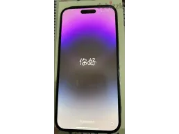 iphone 14 pro max 256gb purple