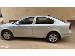 سكودا فانتازيا 2010 