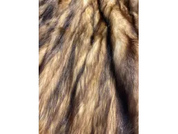 بالطو فرو إستيراد خليجي