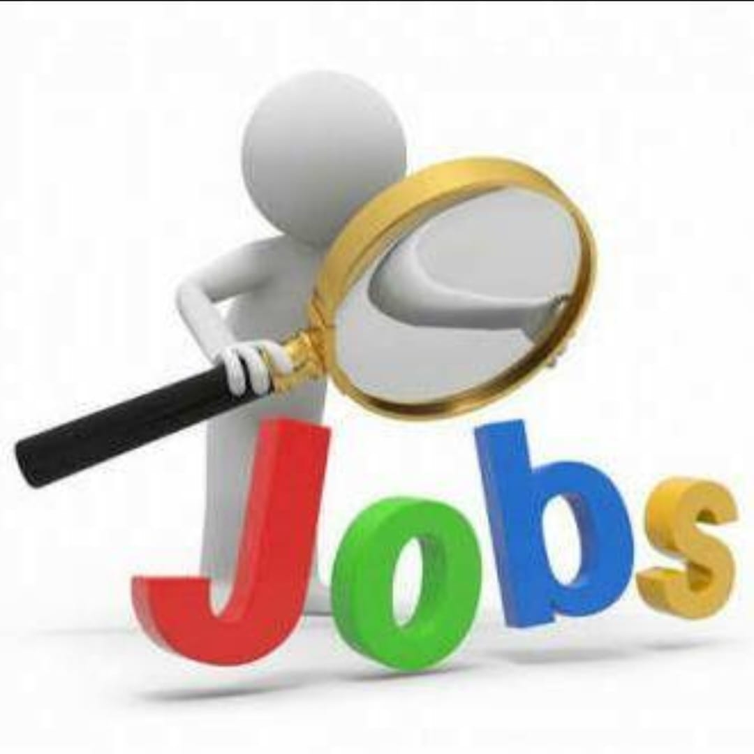 مطلوب لمطاعم فانشي 